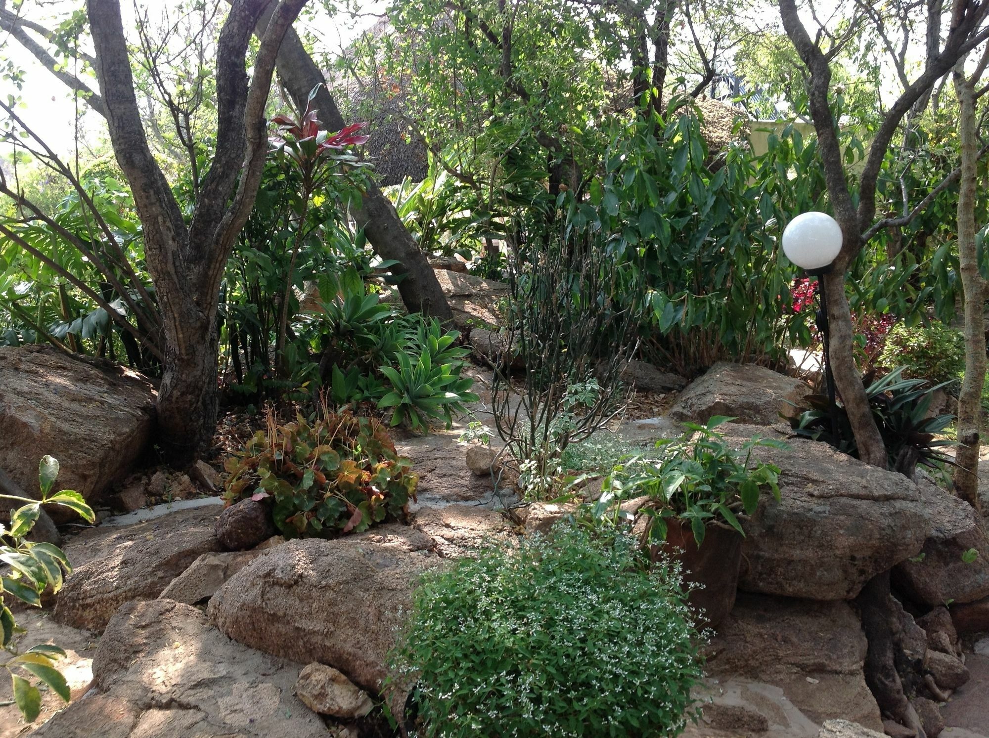 Lynns Guest House Bulawayo Exterior photo